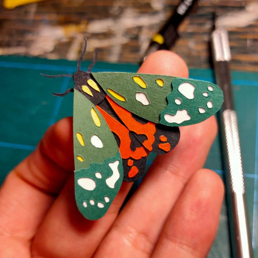 Scarlet Tiger Moth