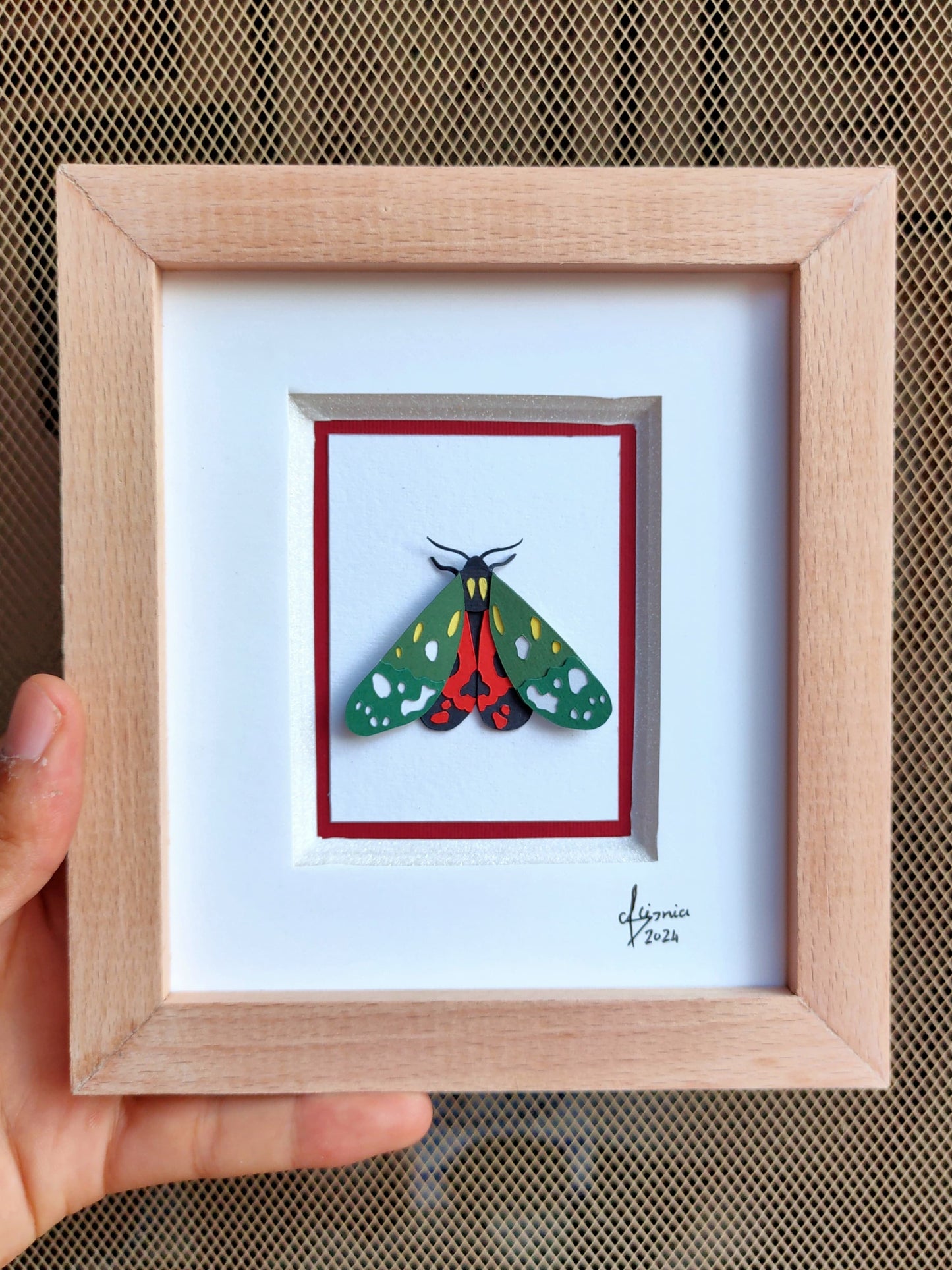 Scarlet Tiger Moth
