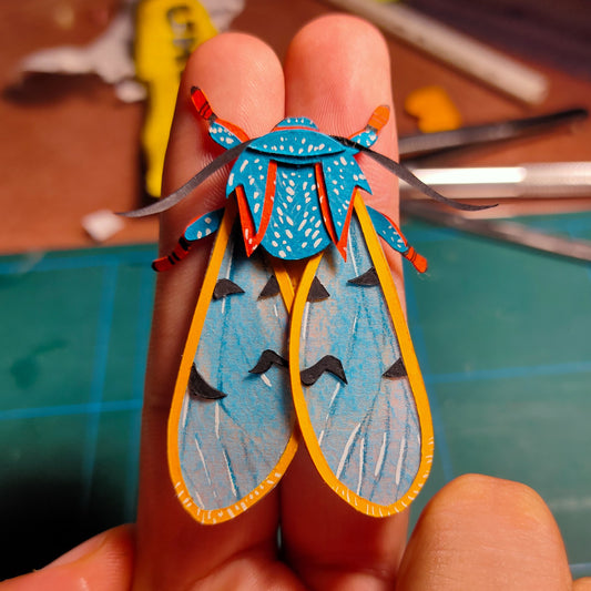 Chlorhoda thoracica Moth