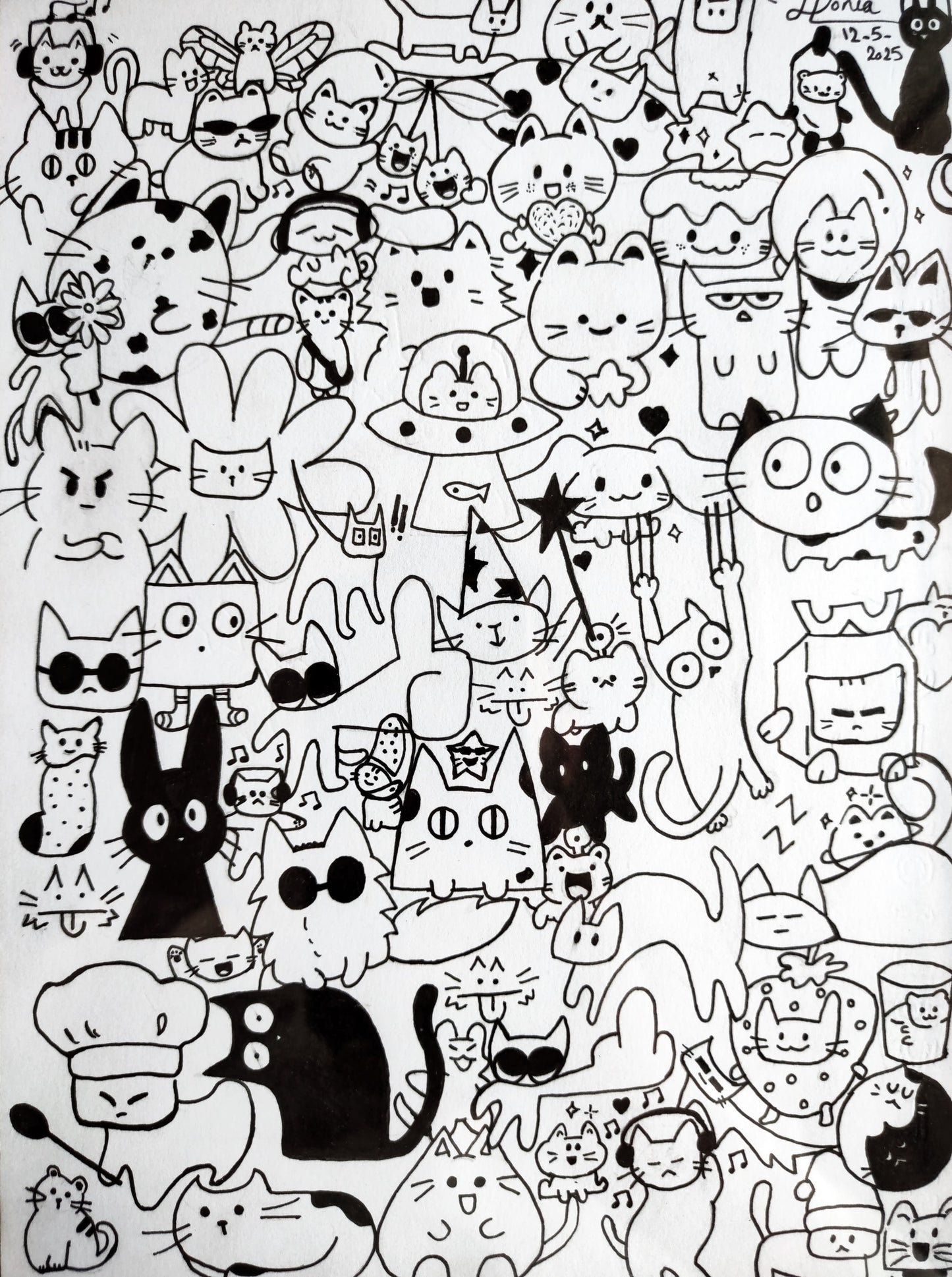 Whisker Whimsy