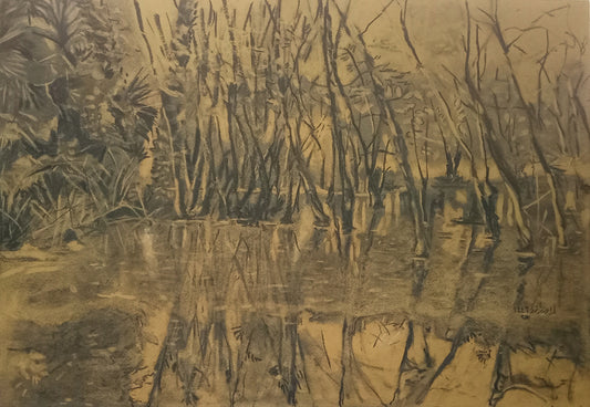 Reflections of Orman