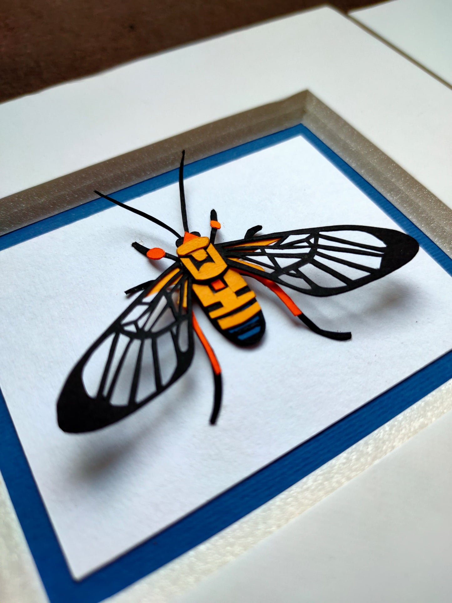 Loxophlebia Moth