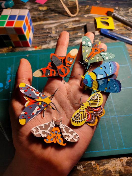 Glanycus Moth
