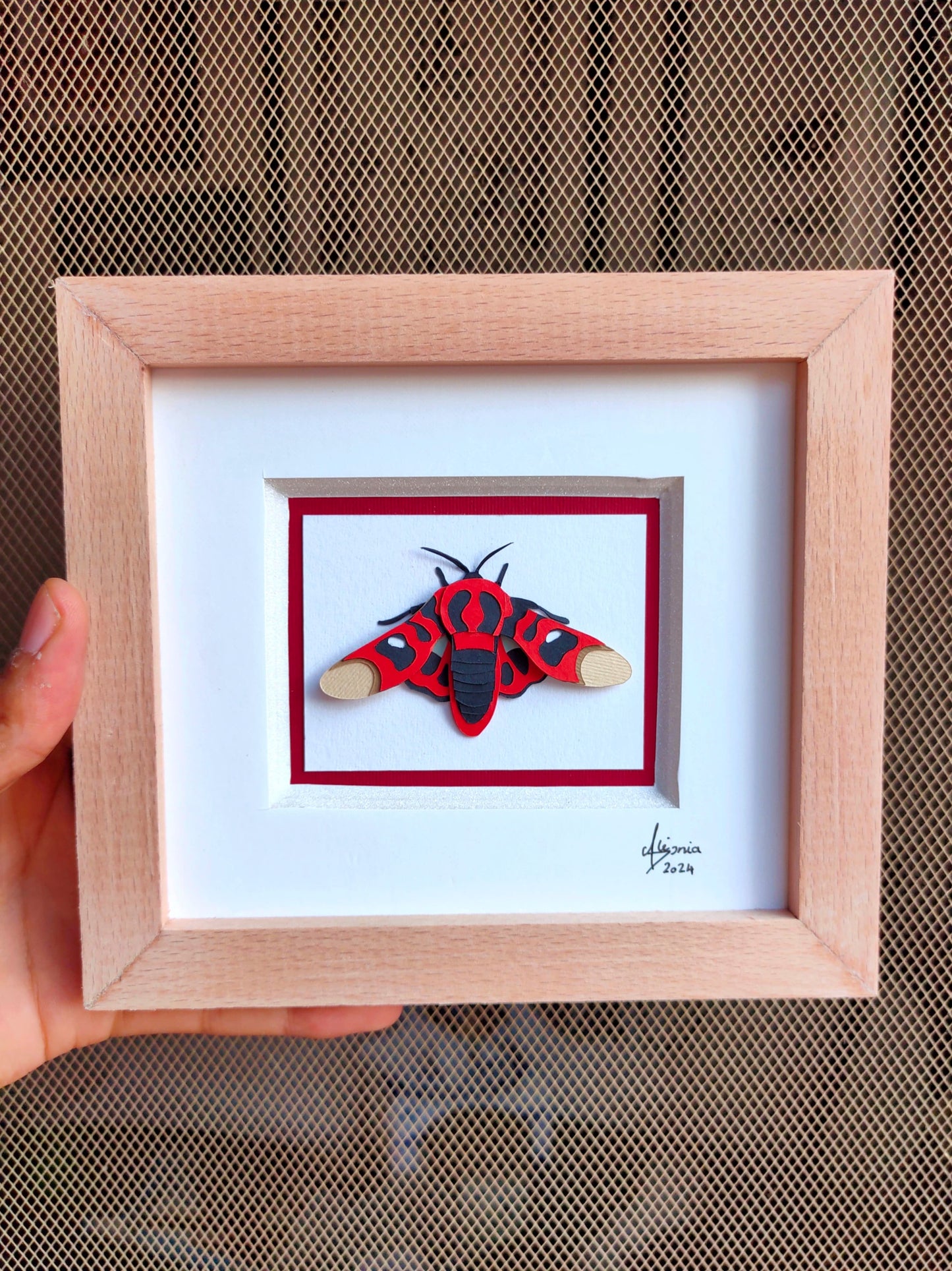 Glanycus Moth