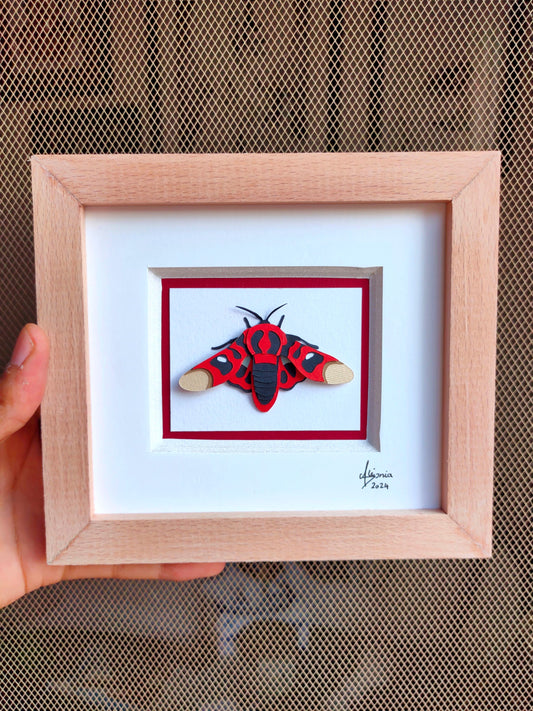 Glanycus Moth