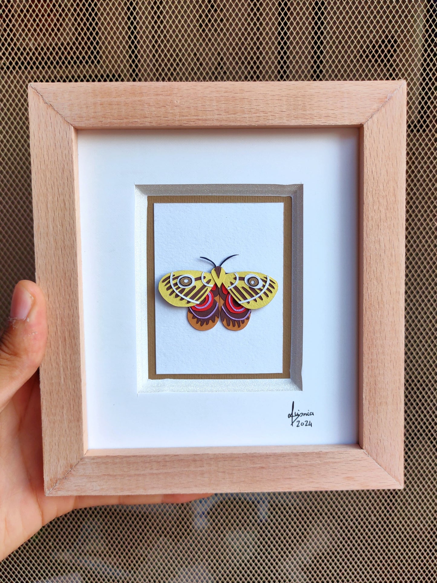 Automeris io Moth
