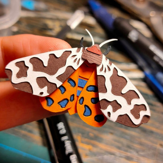 Garden Tiger Moth