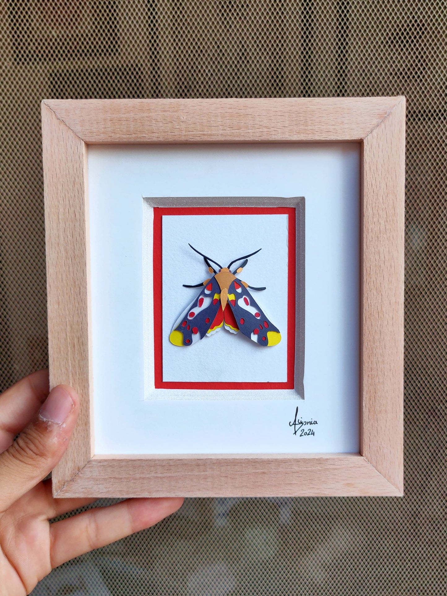 Hypsidia erythropsalis Mothv
